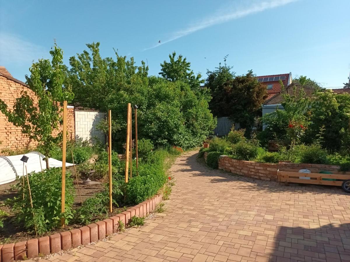 Za Vodou Pension Moravská Nová Ves Buitenkant foto