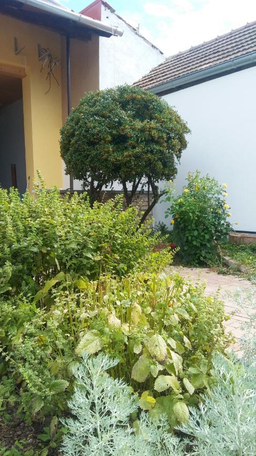 Za Vodou Pension Moravská Nová Ves Buitenkant foto