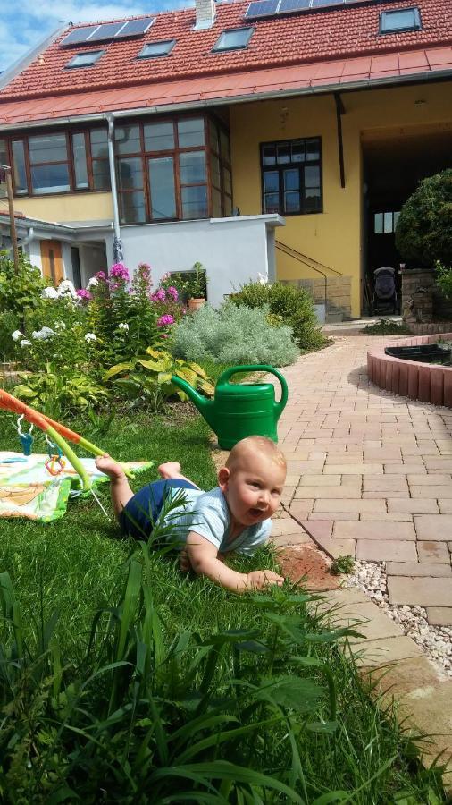 Za Vodou Pension Moravská Nová Ves Buitenkant foto