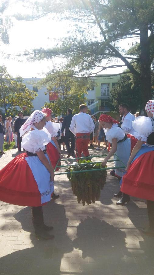 Za Vodou Pension Moravská Nová Ves Buitenkant foto